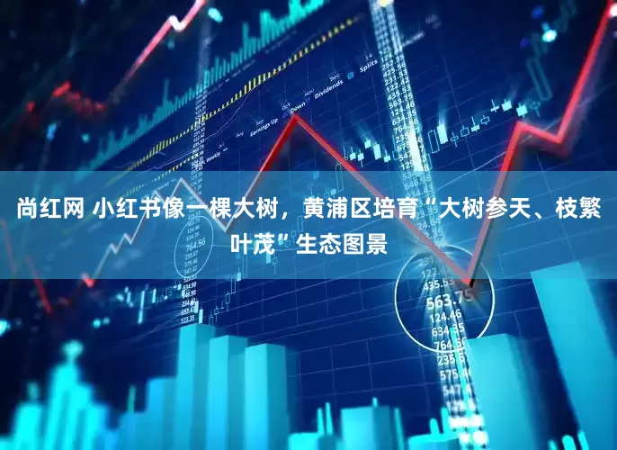 尚红网 小红书像一棵大树，黄浦区培育“大树参天、枝繁叶茂”生态图景