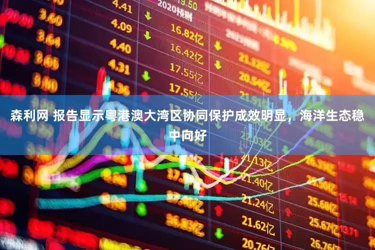 森利网 报告显示粤港澳大湾区协同保护成效明显，海洋生态稳中向好